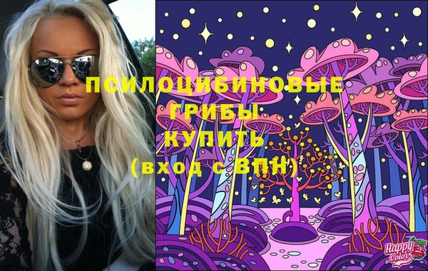 а пвп мука Богданович