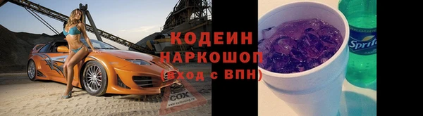 СК Бородино