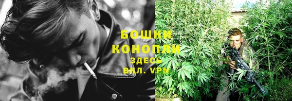 сатива Бугульма
