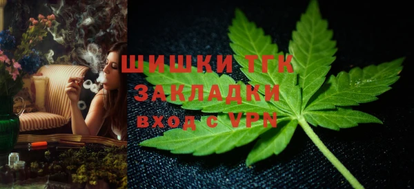 СК Богородск
